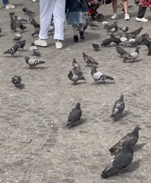 【今日爆笑动态图】这算不算减脂运动