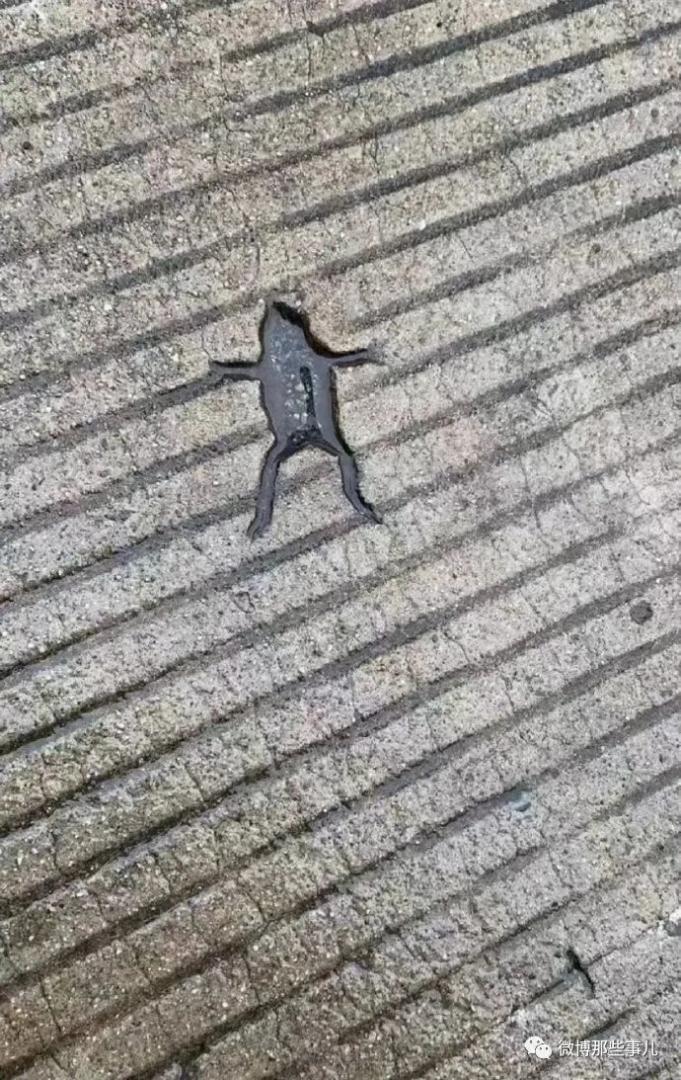 【今日爆笑大集合】期末了，玩会吧，别真考上了