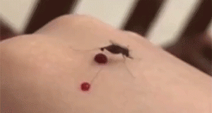 【今日爆笑动态图】这表情抵抗不了啊